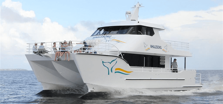 Whale Watching Tours departing from Hervey Bay