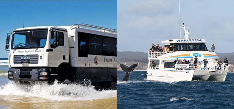 Whalesong whale watch and Fraser Island tour