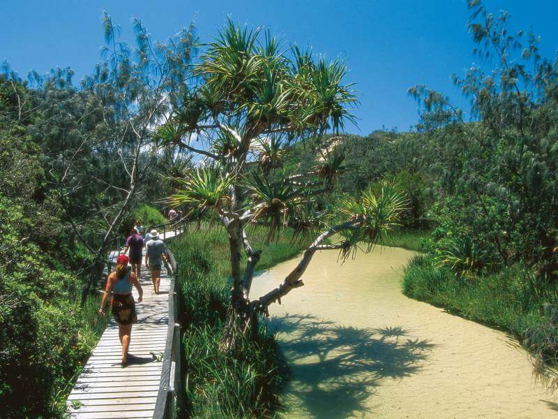 Fraser Island Eli Creek